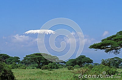 Landscape in Tanzania near the Kilimandjaro Mountain Stock Photo