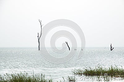 Landscape in Toko near lake Volta in the Volta Region in Ghana Stock Photo