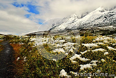 Landscape of Torres del Paine Stock Photo