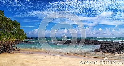 Landscape of Tortuga Bay on Santa Cruz island on Galapagos Stock Photo