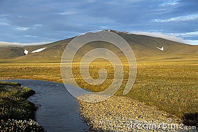 Landscape of tundra Stock Photo
