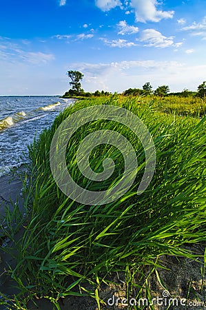 Landscape from Usedom island Stock Photo