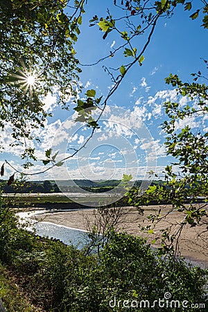 Landscape view in the afternoon with the sun through the trees, in the Ria de Oyambre, in Cantabria, Stock Photo