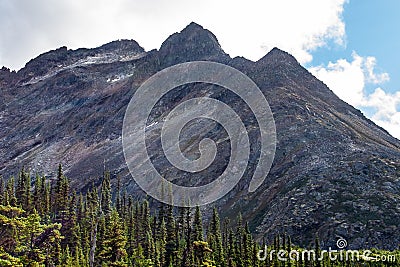 Landscape view of alpine trees and a huge rocky mountain Stock Photo