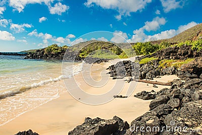 Landscape view of the beach at Punta Cormorant, Galapagos Stock Photo