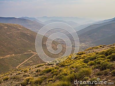 Landscape view of dangerous and curvy mountain dirt road with steep drop to the valley and sheep, Lesotho, Africa Stock Photo