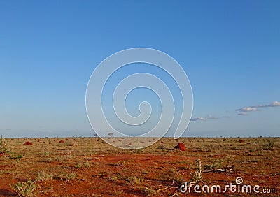 Landscape view of a dried savanna field Stock Photo