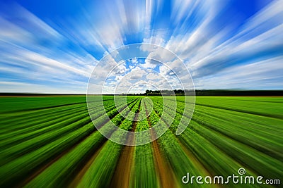 Agriculture vegetable field with motion blur Stock Photo