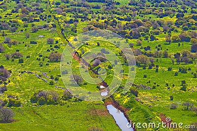 Landscape view of oak trees at spring in the Golan Heights Israel Stock Photo