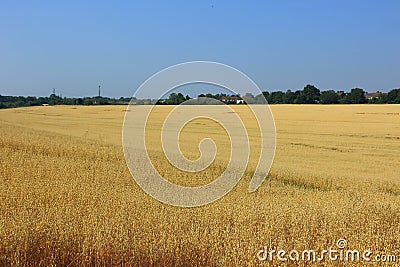 North Kent farmland Stock Photo