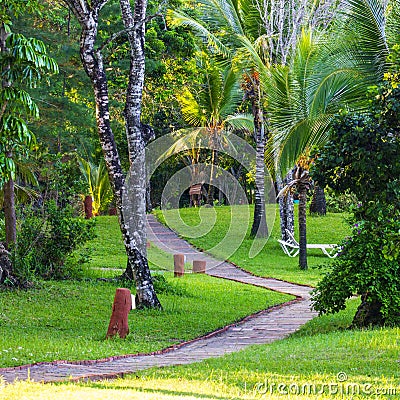 Landscape view of pathway Stock Photo