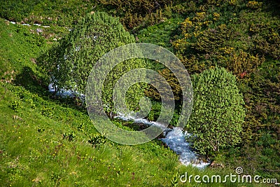 Landscape view of a river, green meadow, and two trees. Stock Photo