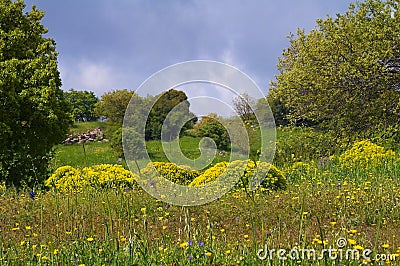 Landscape view of spring in the Golan Heights Israel Stock Photo