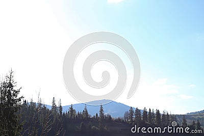 landscape view of the Ukrainian mountains with small houses, white swings and green firs and a blue sky with clouds. for postcards Stock Photo