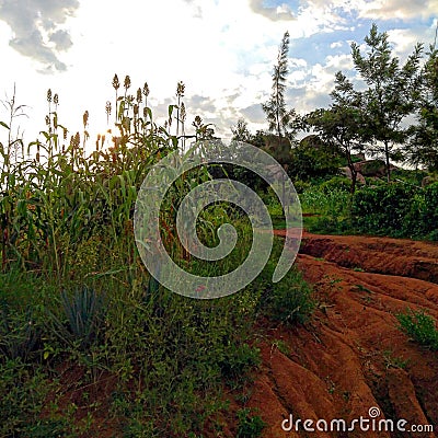 Landscape view of uneven land escarpment being farmed Stock Photo