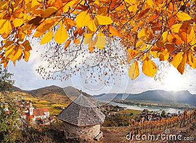 Landscape of Wachau valley, Spitz village with Danube river in Austria. Stock Photo