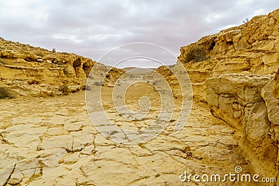 Landscape of a wadi in Ein Avdat National Park Stock Photo