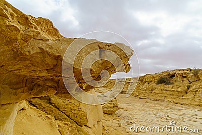 Landscape of a wadi in Ein Avdat National Park Stock Photo