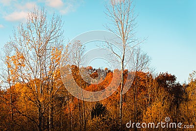 Landscape of Wahlfield Park near Grand Rapids Michigan Stock Photo