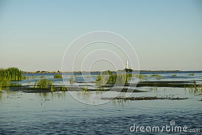 Landscape with waterline, birds, reeds, vegetation and Sulina lighthouse in Danube Delta, Romania, in a sunny summer day Stock Photo