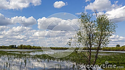 Clouds reflected in the waters of a wetland conservation area Stock Photo