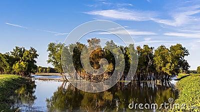 Landscape of a wetland conservation area near St. Charles, MO Stock Photo