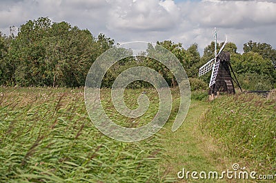 Landscape wicken fen Stock Photo