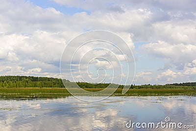 Landscape on a wild forest lake on a quiet summer day Stock Photo