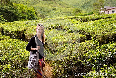 Cameron Highlands Bharat tea plantation Stock Photo