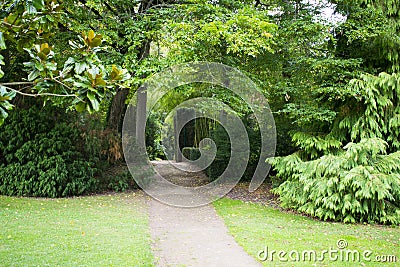 Landscaped dirt road, lawn on each side Stock Photo