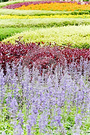 Landscaped flower garden Stock Photo