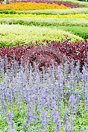 Landscaped flower garden Stock Photo