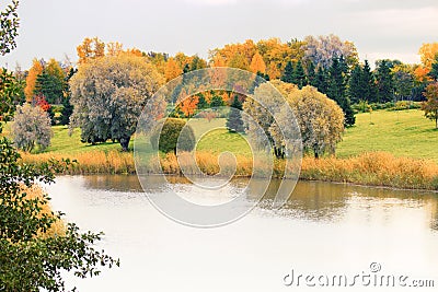 Landscaped Park with lawns and groups of yellow trees Stock Photo