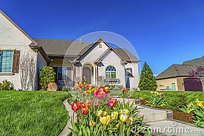 Landscaped yard of a home with pathway stairs tulips trees and grasses Stock Photo