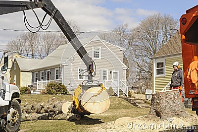 Landscaper oversees tree trunk removal Editorial Stock Photo