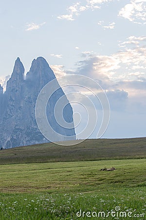 Landscapes on Alpe di Siusi with Schlern Mountain Group in Background and small cabins on the grassland in Summer during the sunse Stock Photo