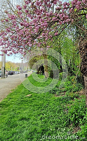 Landscapes Beauty in nature Atomium brussel Stock Photo