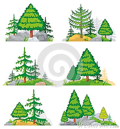 Landscapes with coniferous trees, grass and stones. Vector set Vector Illustration