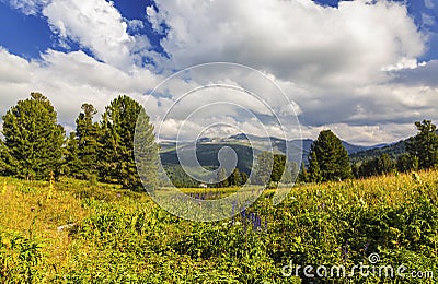 Landscapes Mountain Altai, West Siberia Stock Photo