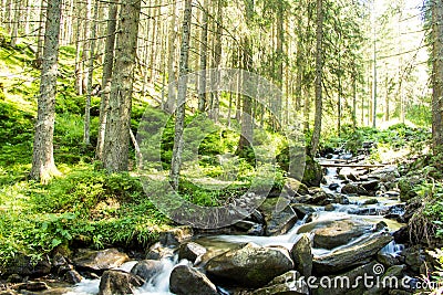 Landscapes of the mountains and Mountain river and natural green forest. Stock Photo