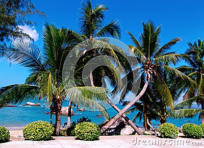 Landscapes by the sea Stock Photo