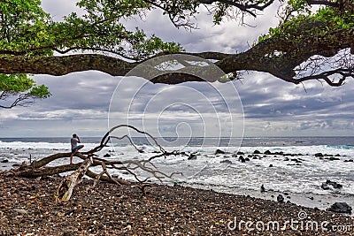 Stunning magical landscapes of the Big Island of Hawaii with palms, sunsets and big sky scenics Editorial Stock Photo