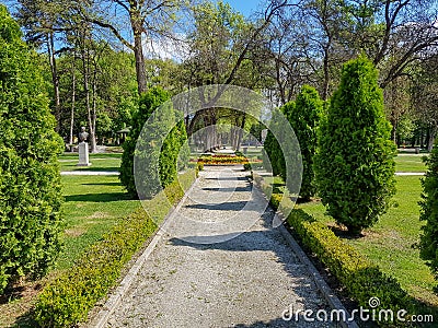 Landscaping decorative design. Raws of trees in city park with pathways Stock Photo