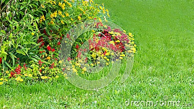 Landscaping flower beds with blooming flowers. Stock Photo