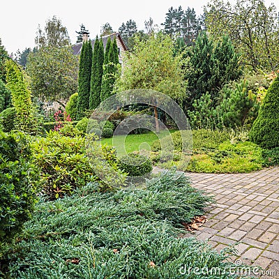 Landscaping of a garden with a bright green lawn, colorful shrubs, decorative evergreen plants and shaped boxwood Buxus Stock Photo