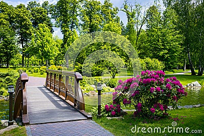 Landscaping in the garden. The path in the garden.Beautiful back Stock Photo