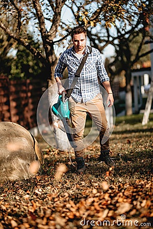 Landscaping, gardening details with worker using leaf blower Stock Photo