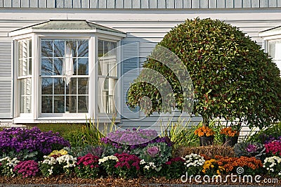 Landscaping near bay window Stock Photo