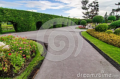 Landscaping trimmed trees in public park Stock Photo
