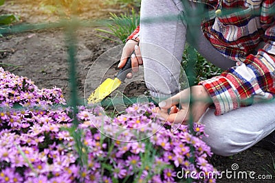 Landscaping. Woman digs up the soil with a little shovel Stock Photo
